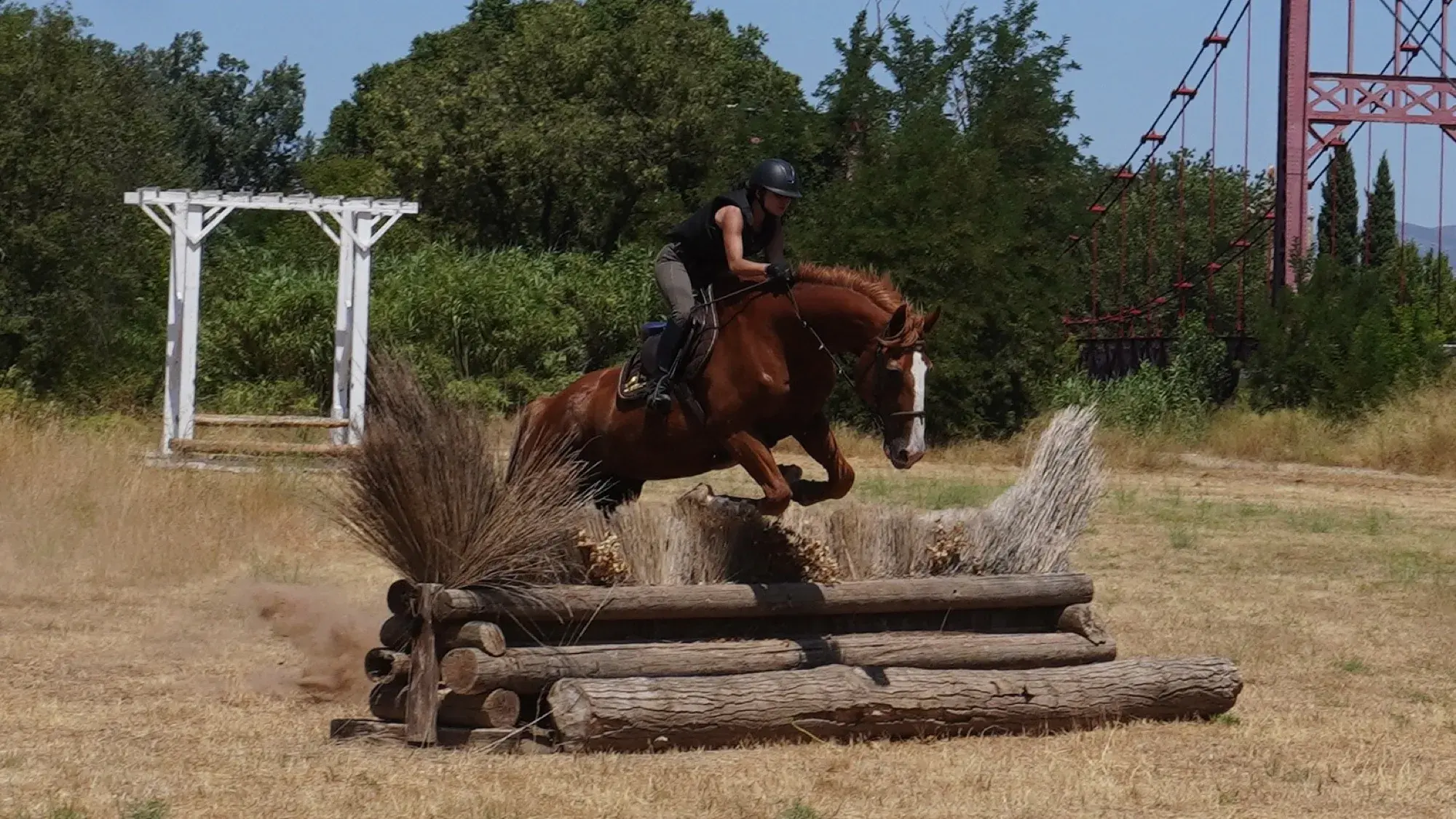 Franchissement d’un obstacle de cross en rondins, cheval en suspension