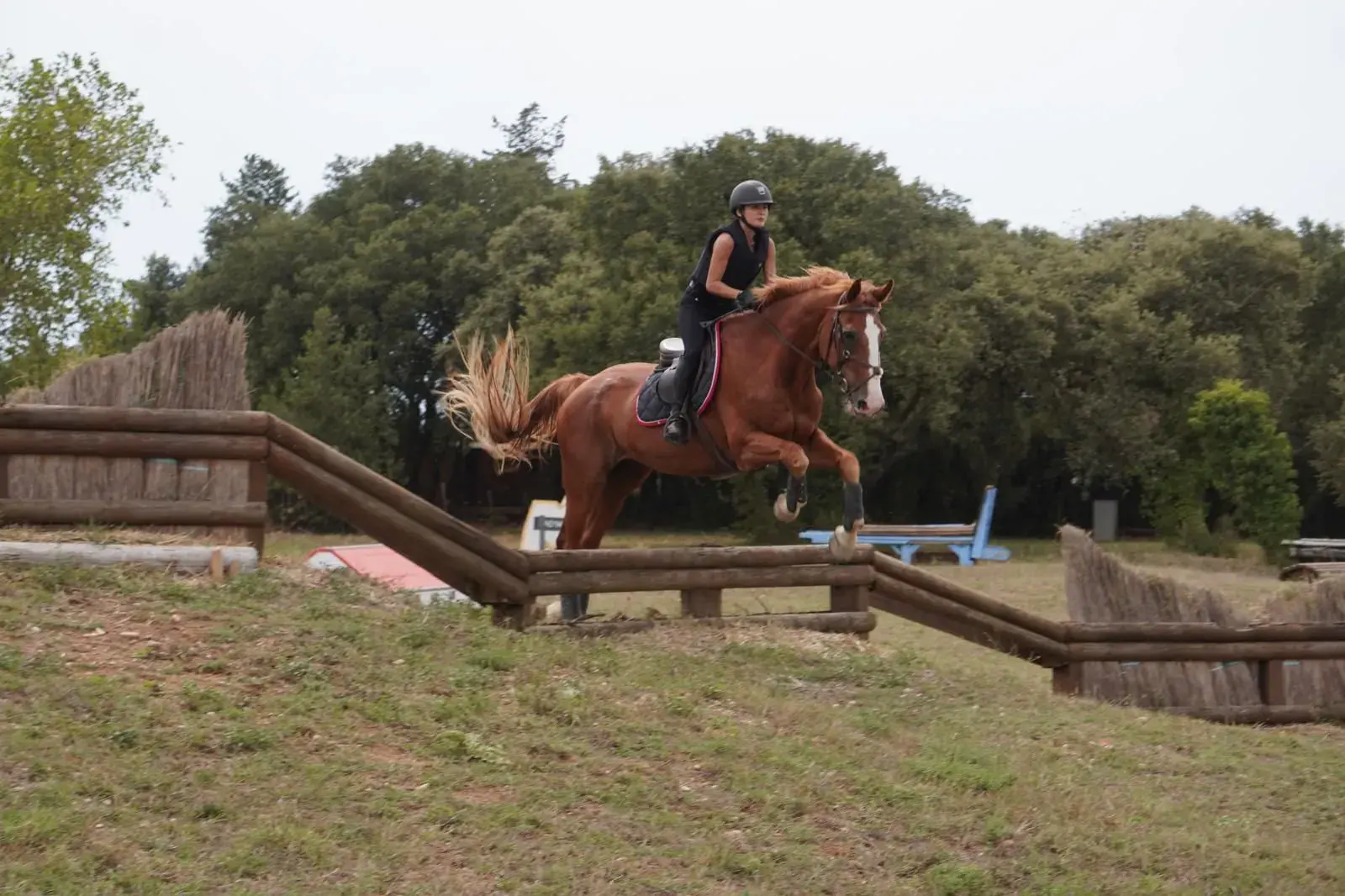 Saut d’un obstacle de rondins en cross, cheval alezan en pleine impulsion