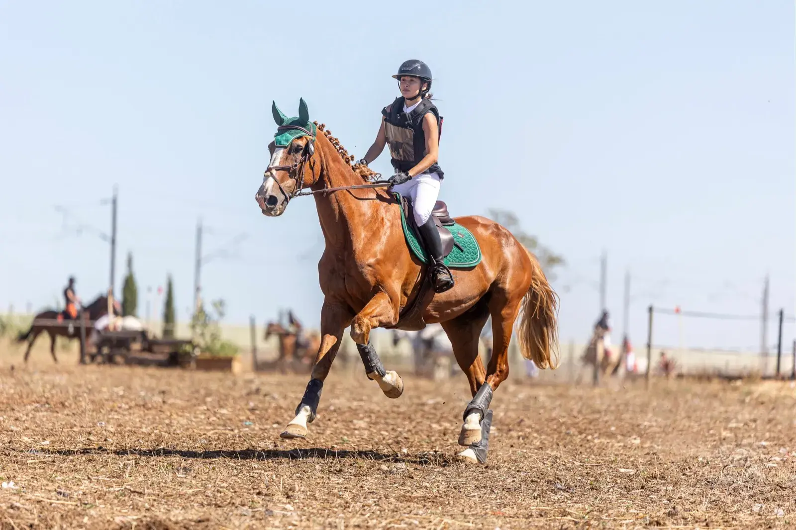 Au galop de face sur l’épreuve de cross, gilet de protection
